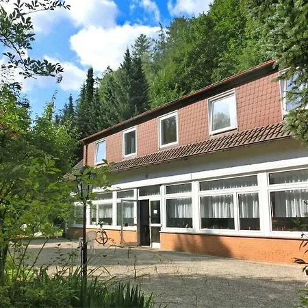 Spacious On The Edge Of The Forest Holiday home *